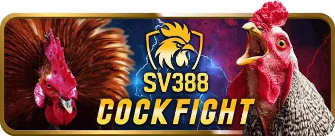 Thưởng Nạp Lại Hàng Ngày okking game