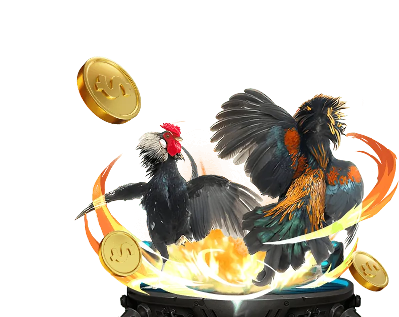 Sự kiện đặc biệt và giải đấu OKKING GAME